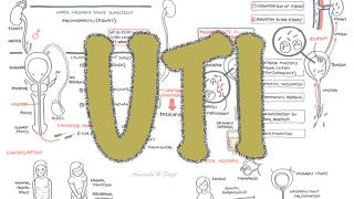 Urinary Tract Infection  Overview signs and symptoms pathophysiology causes and treatment [upl. by Morell]