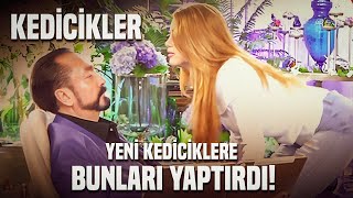 Kedicikler Hakkında Anlatılmayan Gerçekler [upl. by Katsuyama397]