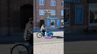 Dagje MALMÖ op een ouwe bakfiets 🚲🇸🇪 zweden emigreren emigrerennaarzweden [upl. by Diarmid]