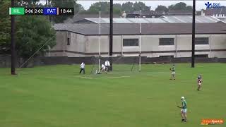 Highlights of Kilmallock v Patrickswell  Limerick SHC 2022 [upl. by Edrock584]