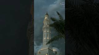 maula ya Salli wasalimnaat Urdu lyrics yt beautyofislamofficial [upl. by Halonna]