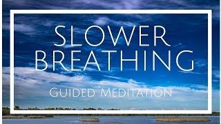 Slower Breathing Exercise  Lengthen and deepen your breath calm your nervous system [upl. by Cnahc]