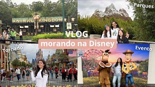 Um dia morando na Disney de Orlando🇺🇸  Animal Kingdom  Magic Kingdom  Evento [upl. by Atiz]