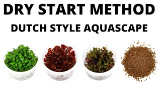 Dutch Style Aquascape Dry Start Method  Netlea RGB Light [upl. by Aleras]