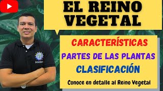 EL REINO VEGETAL O PLANTAE BRIOFITAS Y TRAQUEOFITAS GIMNOS PERMAS Y ANGIOSPERMAS MONOCOTI [upl. by Earazed]