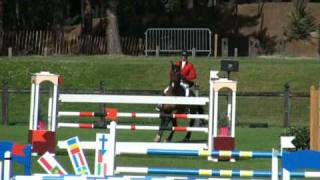 ♂ Guarana Champeix jumping stallion SF by Rivage du Poncel [upl. by Lielos663]