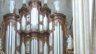 kampen samenzang gezang Hoe zal ik U ontvangen Orgel en trompet [upl. by Ellerad196]