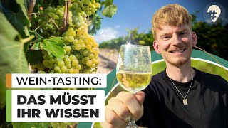 5 Tipps für eine Fahrradtour durch die Weinberge  Saale amp Unstrut  Doku  hinREISEND [upl. by Adnoyek]