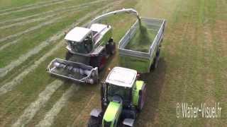 Chantier densilage de Ray grass italien avec une Ensileuse Claas Jaguar 890 [upl. by Allit324]