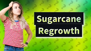 Does sugarcane regrow fs22 [upl. by Mahau]