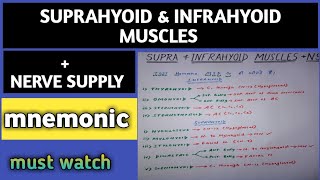 SUPRAHYOID AND INFRAHYOID MUSCLES MNEMONICNERVE SUPPLY [upl. by Nam]