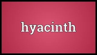 Hyacinth Meaning [upl. by Tychon]