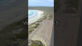 Top 5 Road Trips travel roadtrip pacifichighway amalficoast greatoceanroad iceland [upl. by Narat990]