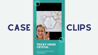 Cytology Case Clips Tricky Urine Crystals in a Dog [upl. by Emia]