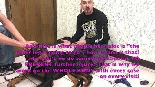 ACL CCL non surgical Animal Chiropractor ligament tears luxating patella and more [upl. by Aharon]