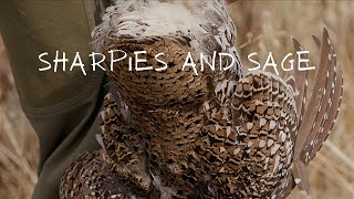 quotSharpies and Sagequot  An Idaho Upland Hunting Film  SharpTailed Grouse and Sage Grouse Hunting [upl. by Leidgam]