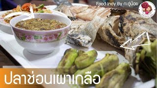 ปลาช่อนเผาเกลือ วิธีทำแสนง่าย ไม่ต้องไปร้านก็ทำกินเองได้ [upl. by Aronek]