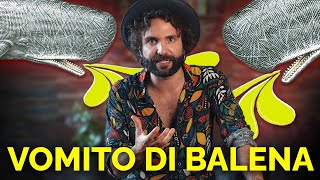 Il VOMITO DI BALENA costa più di TE [upl. by Nednal]