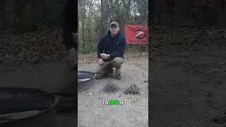 Pro Tips for Building the Perfect Campfire at Torreya State Park [upl. by Kaiulani]