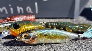 The Best Bait Finesse BFS Tricks For Spring Bass Fishing [upl. by Howlond]