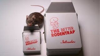 The Better Mousetrap amp Rodent Trap Made By Intruder  Major Rat Fail [upl. by Hendricks]