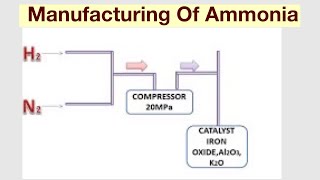 Habers ProcessManufacturing Of Ammonia [upl. by Cummine]