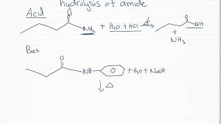 hydrolysis of amides [upl. by Regan]