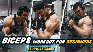 BIG BICEPS WORKOUT for BEGINNERS in HINDI बाइसेप्स वर्कआउट बिगिनर्स के लिए [upl. by Edlitam]