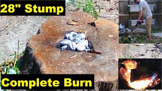 Easy Stump Removal  Complete Burn [upl. by Merrily]