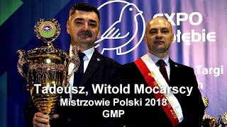 Mistrzowskie gołębie pocztowe  Ogólnopolska Wystawa Gołębi Pocztowych 2019 [upl. by Nylannej]