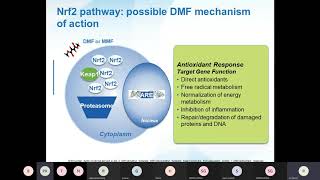 DIMETHYL FUMARATE Dr RAJESH IYER [upl. by Casimir199]