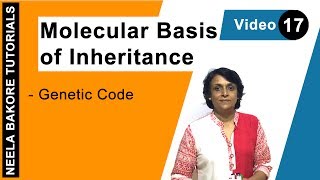 Molecular Basis of Inheritance  NEET  Genetic Code  Neela Bakore Tutorials [upl. by Adnuhsor192]