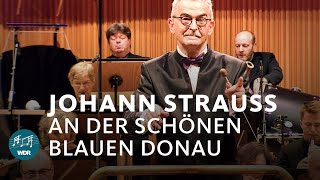 An der schönen blauen Donau Donauwalzer  Johann Strauss Sohn  WDR Funkhausorchester [upl. by Ayanal]