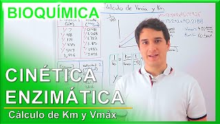 Cinética Enzimática Calculando Km y Vmáx FÁCIL  Camach Learn [upl. by Goat]