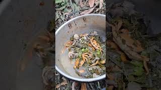 Survival in the deep forest Stream Fish Cooked with Forest Leaves 😍  Tropical Forest Bees [upl. by Adnawuj]