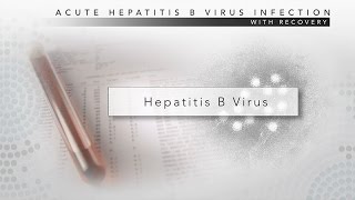 Hepatitis B CDC Viral Hepatitis Serology Training [upl. by Simonette]