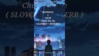 RANDALL x ANAS Choix De Vie  SLOWED  REVERB  lofi song [upl. by Dorena66]