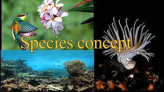 Species concept I Biologial I Morphological I Phylogenetic I Evolutionary I Phenetic I Polytypic [upl. by Orlena]