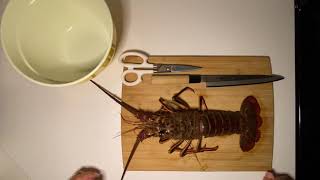 How to Clean and Devein a California Spiny Lobster [upl. by Neeka]