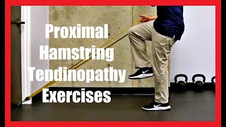 Proximal Hamstring Tendinopathy Exercises [upl. by Moyra]