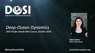 DeepOcean Dynamics  Sabine Gollner [upl. by Deeraf70]