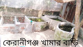 Akuriam fish farm Bangladeshfishtank রঙিন aquarium keranigong khamer Bari [upl. by Anez]