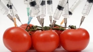 Genetically Modified Food Label Initiative Failing  Why [upl. by Minette42]