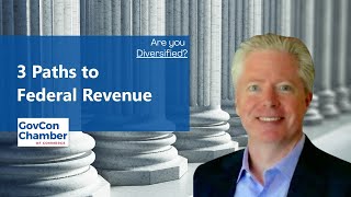 How to Diversity Your Federal Contracting Revenue to Avoid Risk  3 Paths [upl. by Niwrad796]