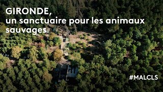 Gironde un sanctuaire pour les animaux sauvages [upl. by Ringo]