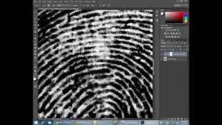 DIY Digitize your Fingerprints at home [upl. by Ranip]