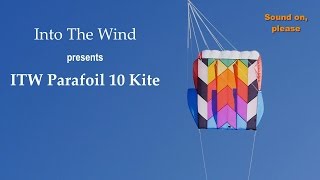 Into The Wind Parafoil 10 Kite [upl. by Emiaj]