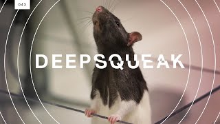 This algorithm decodes rat squeaks and could revolutionize animal research [upl. by Ramoj]