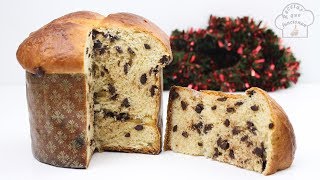 El Mejor Panettone de Chocolate hecho en casa 😍 [upl. by Shelly]