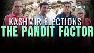 JampK Elections What Do Kashmiri Pandits Want Development Or Rehabilitation Biggest Poll Issue [upl. by Nraa]